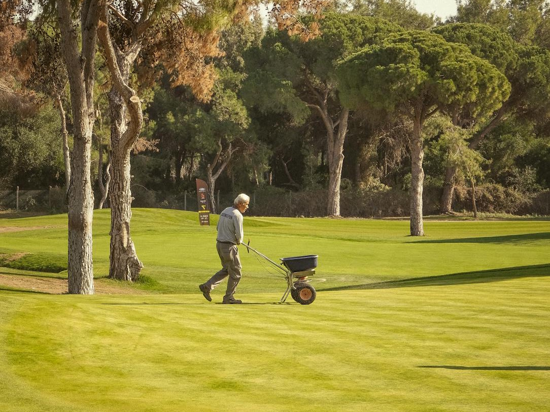 Worker maintaining a lush golf course on a sunny day with trees in the background.