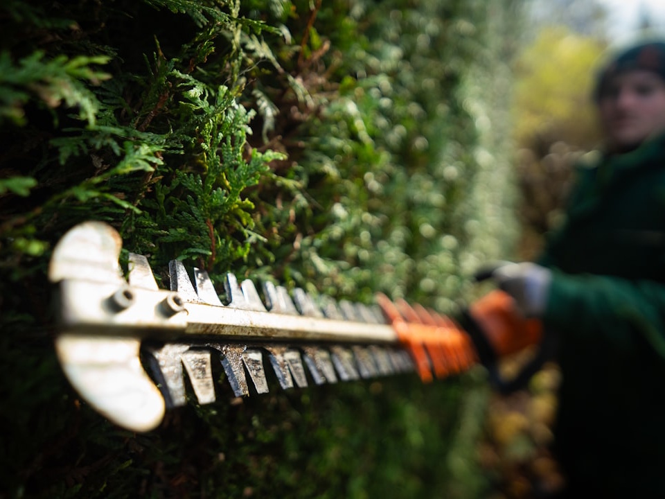 A person in a green jacket is holding a chainsaw